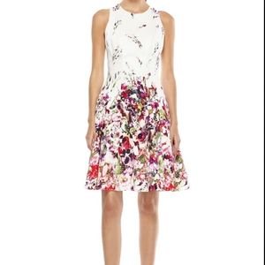Maggy London Lined Floral Flare Sundress
